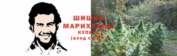 PSILOCYBIN Иннополис