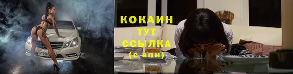 PSILOCYBIN Иннополис
