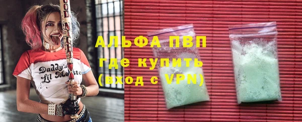 PSILOCYBIN Иннополис